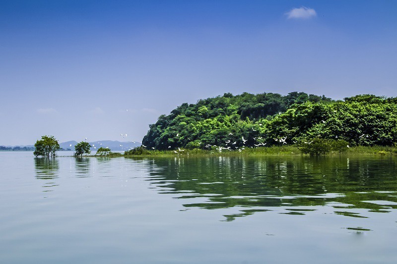 成都-九牟-峨樂-都青 全景特惠進(jìn)店8日游